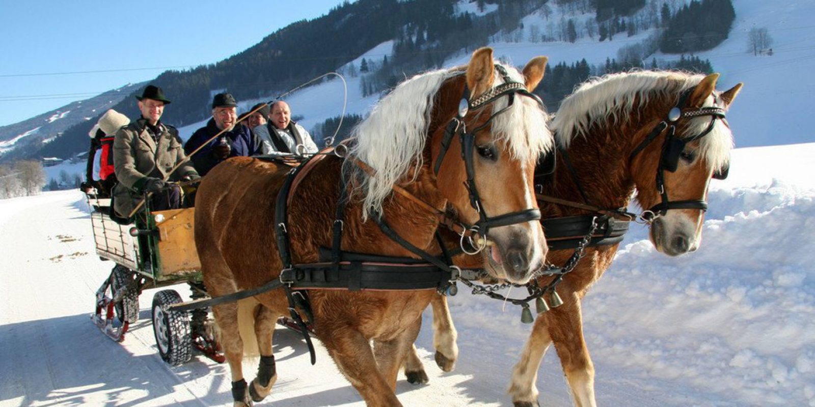 Kutschenfahrt Winter