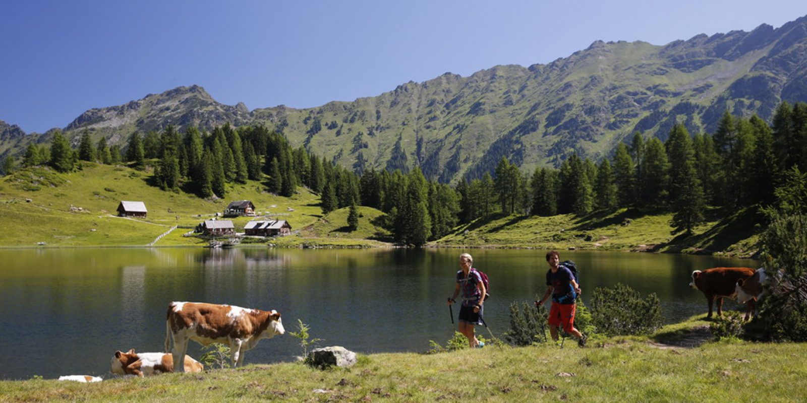 Region Schladming Dachstein