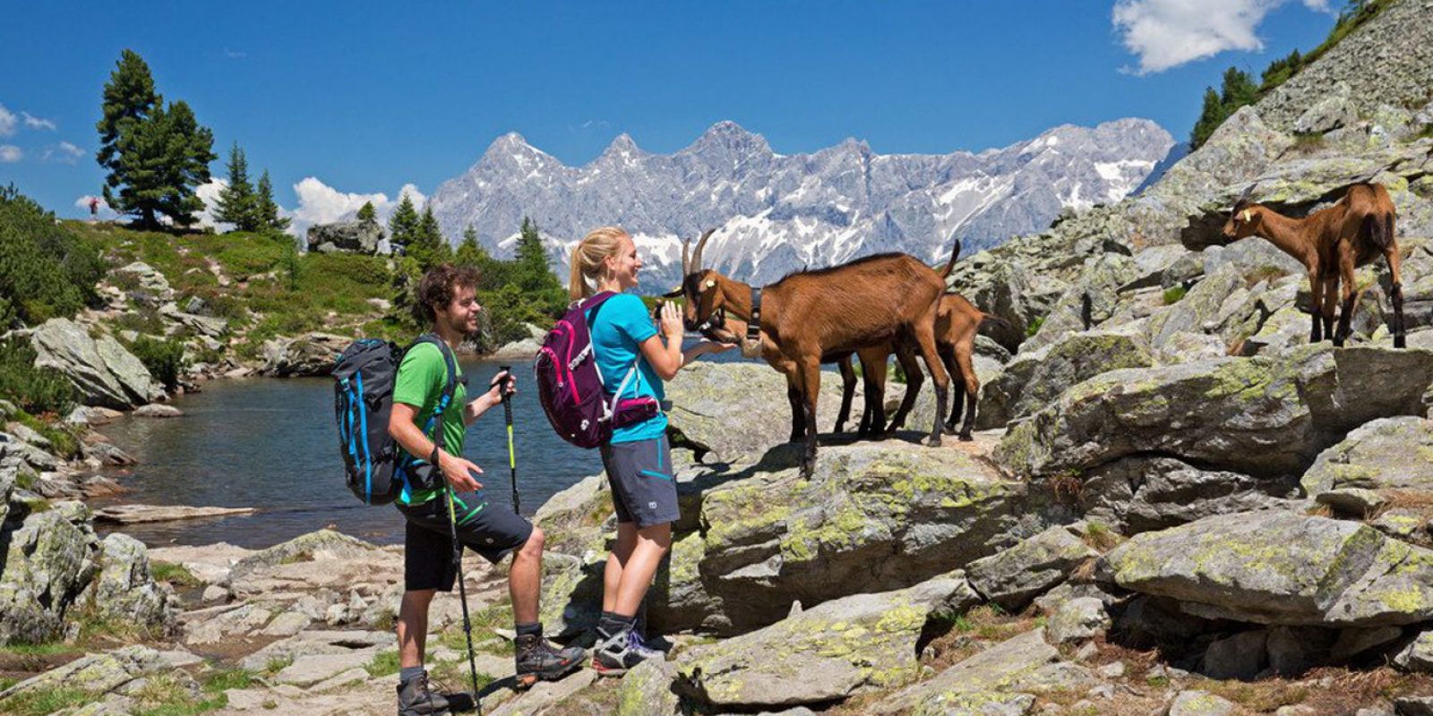 Wandern-Bergsteigen Schladming Dachstein